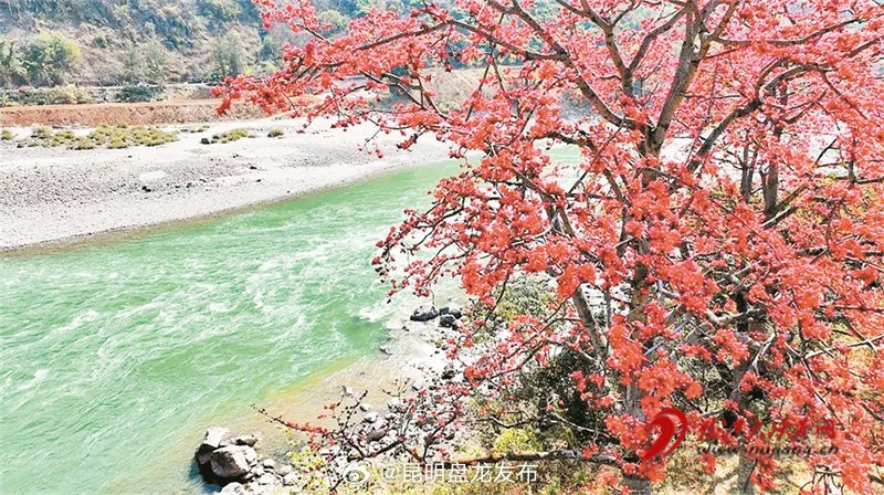 花开四季“香”约云南 | 春到怒江