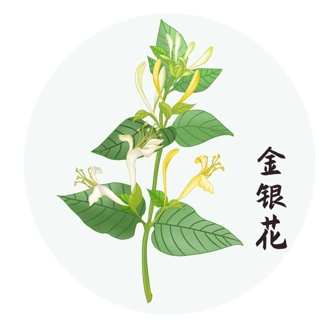 云南省中医医院