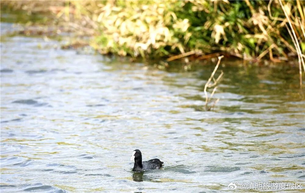 滇池旅游度假区