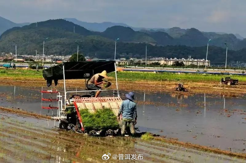 普洱春耕，变变变！