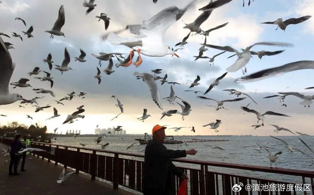 滇池旅游度假区