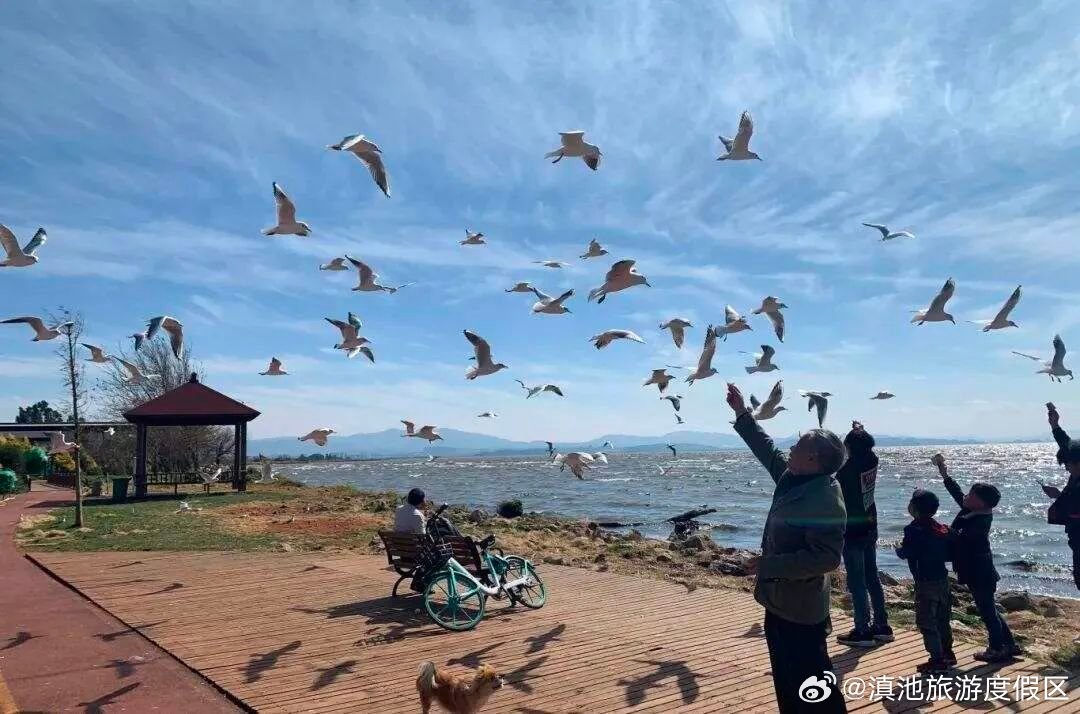 滇池旅游度假区