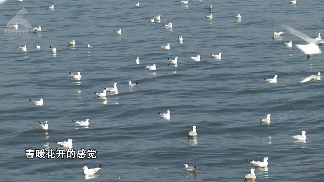 昆明广播电视台