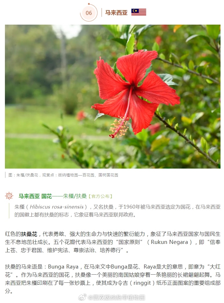 西双版纳热带植物园