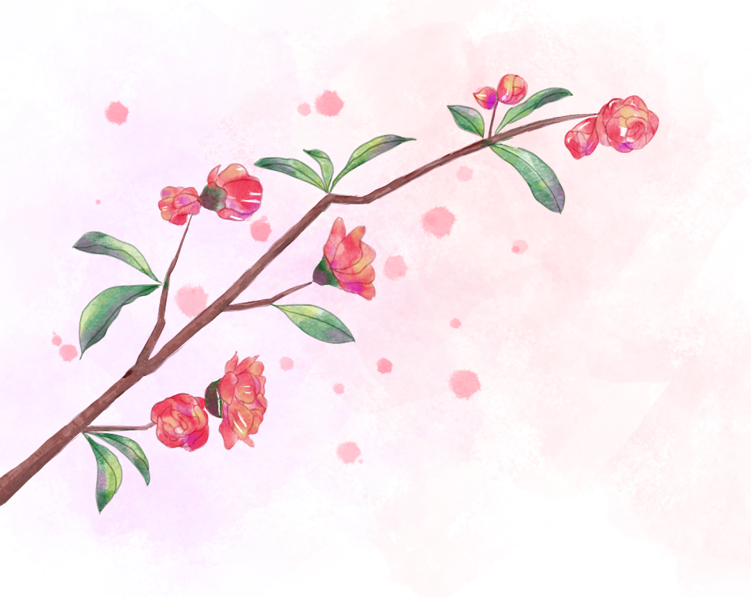 昆明市妇幼保健院