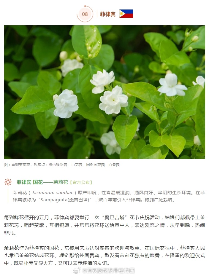 西双版纳热带植物园