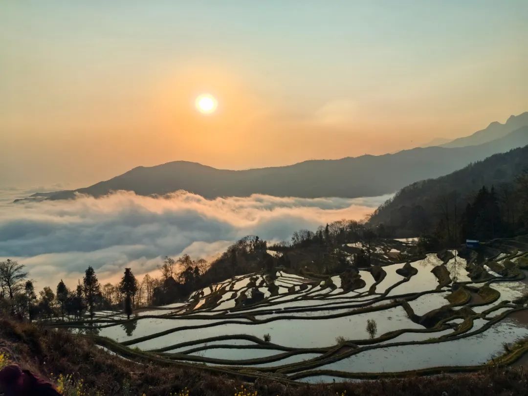 美丽云南微科普