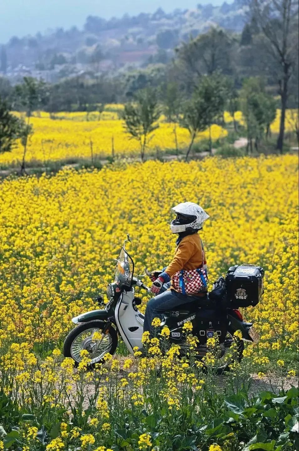 昆明公共文化云