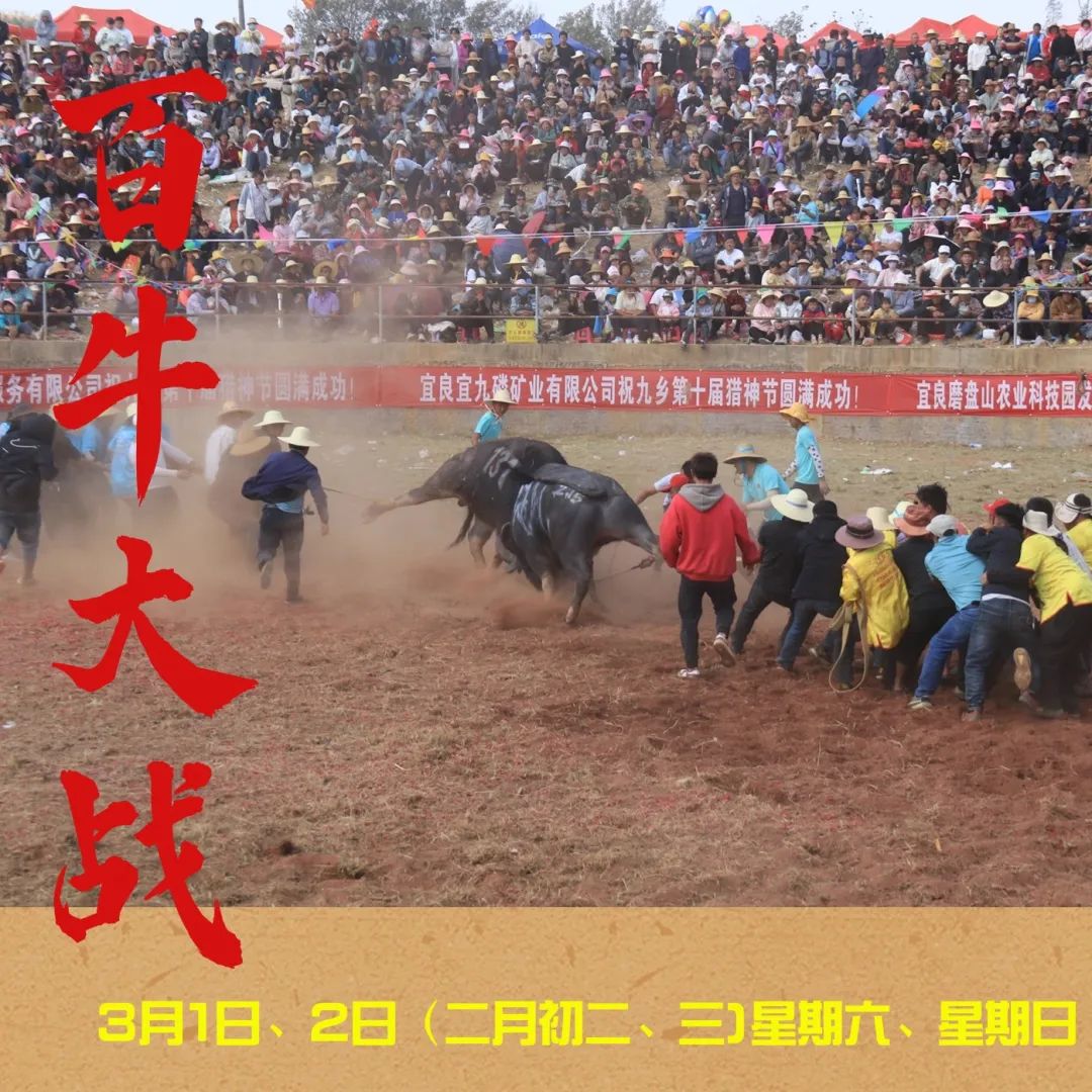 宜良之窗