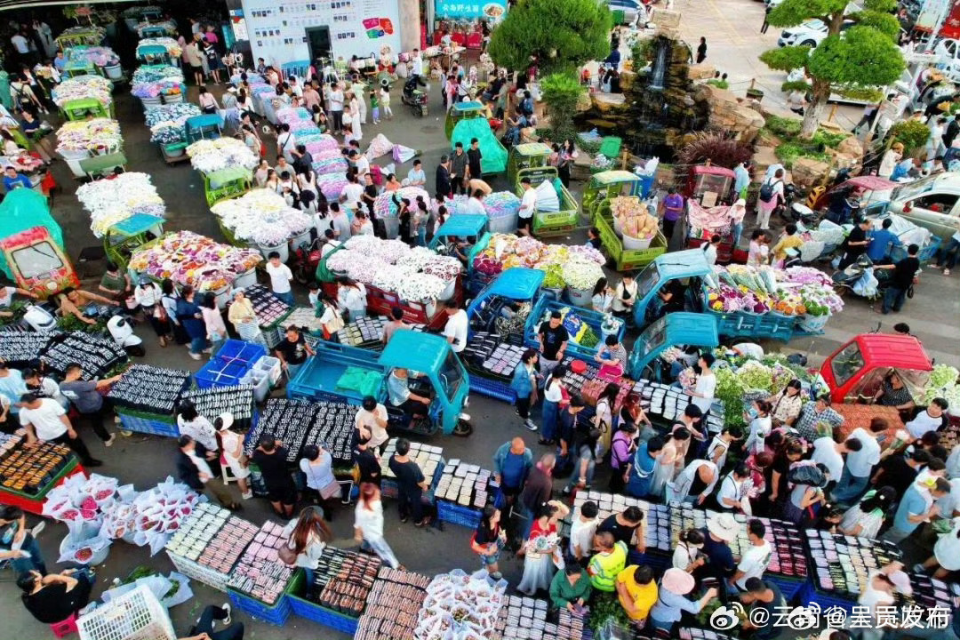 我省拟推荐4个“星乡村”、4位“星农人”