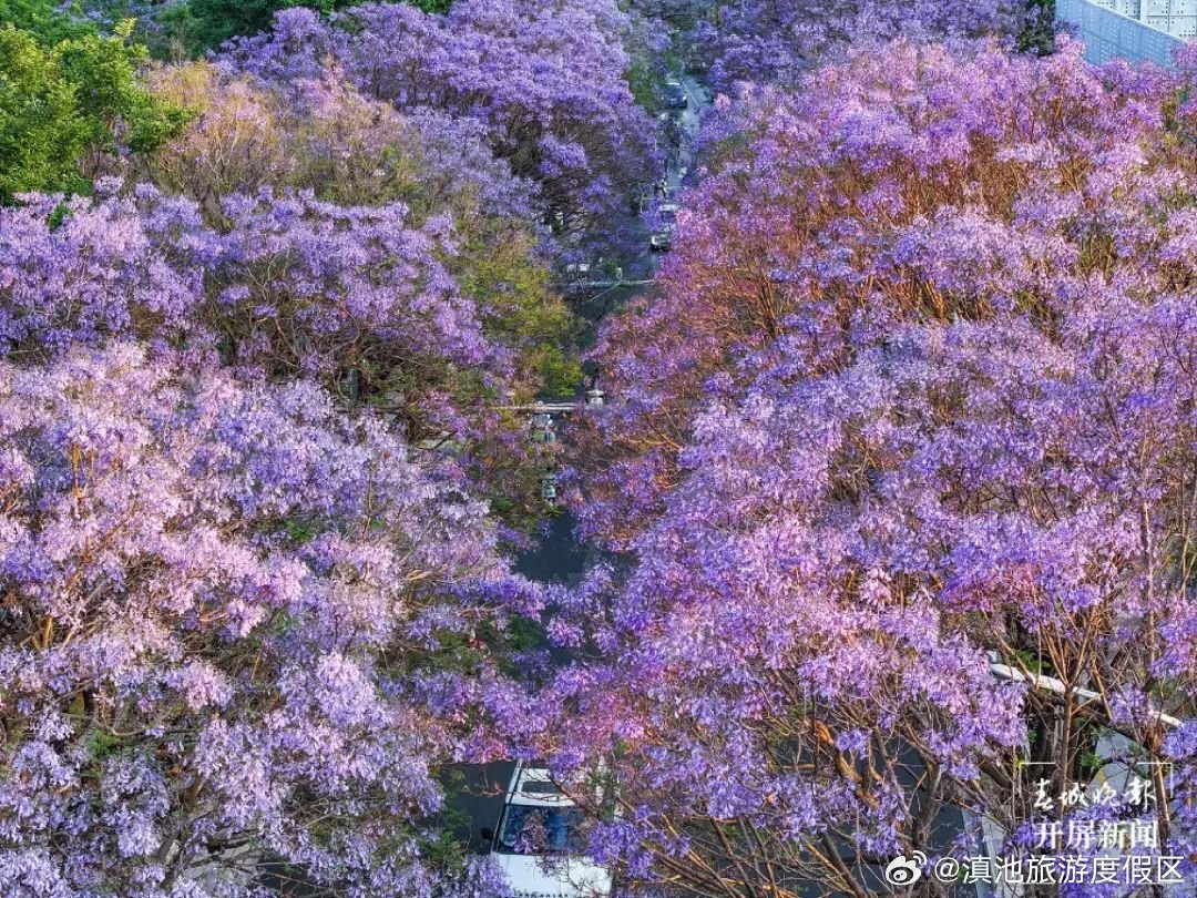 滇池旅游度假区