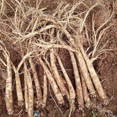 昆明市中医医院