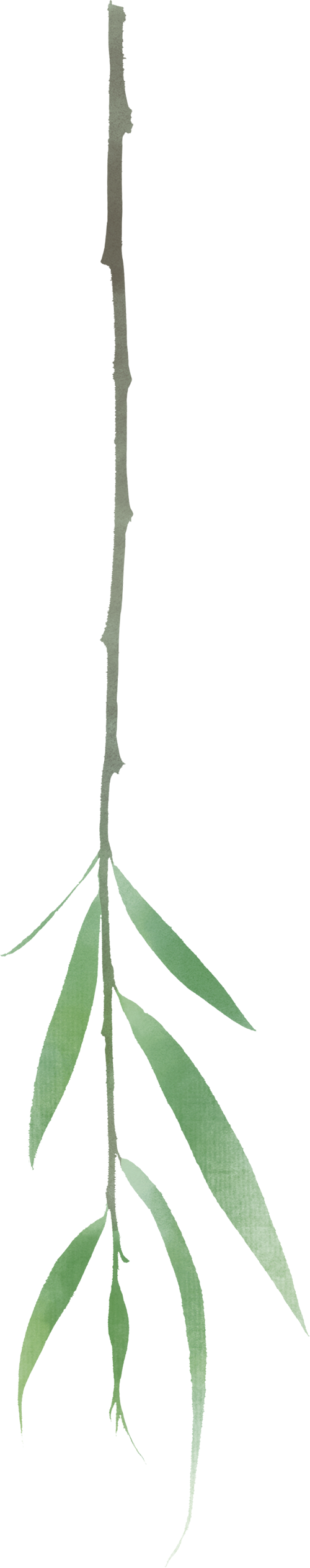 云南省中医医院