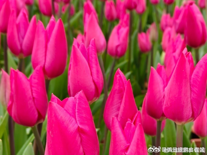 滇池旅游度假区