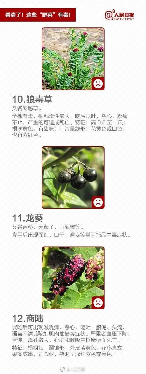 昆明广播电视台