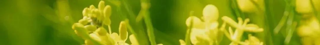 昆明公共文化云