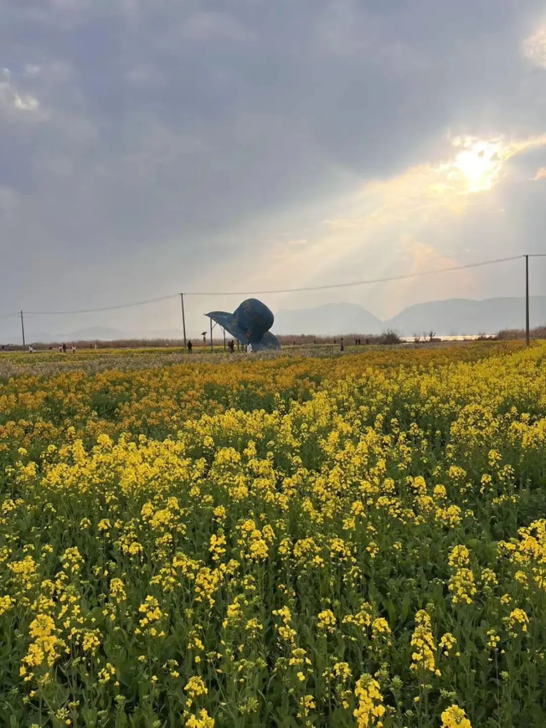 昆明公共文化云