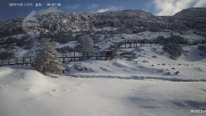 8099999街头巷尾微信