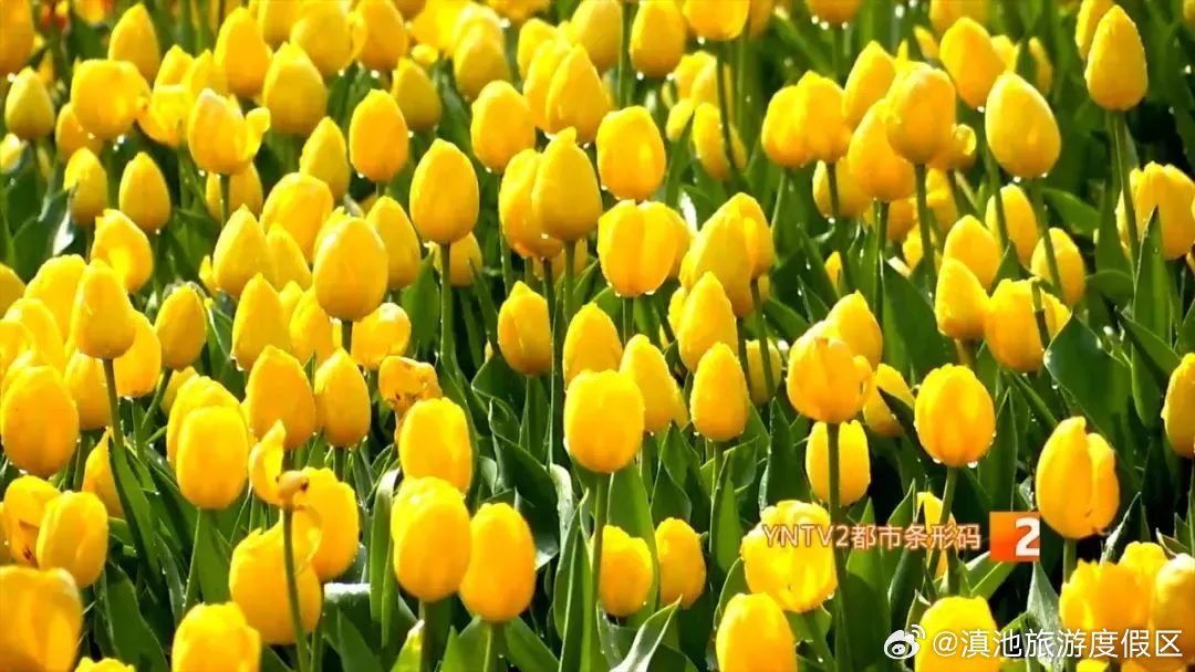 滇池旅游度假区