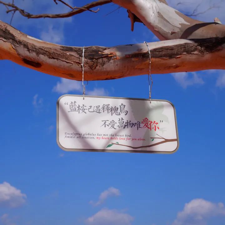 晋宁 诗意的栖居地