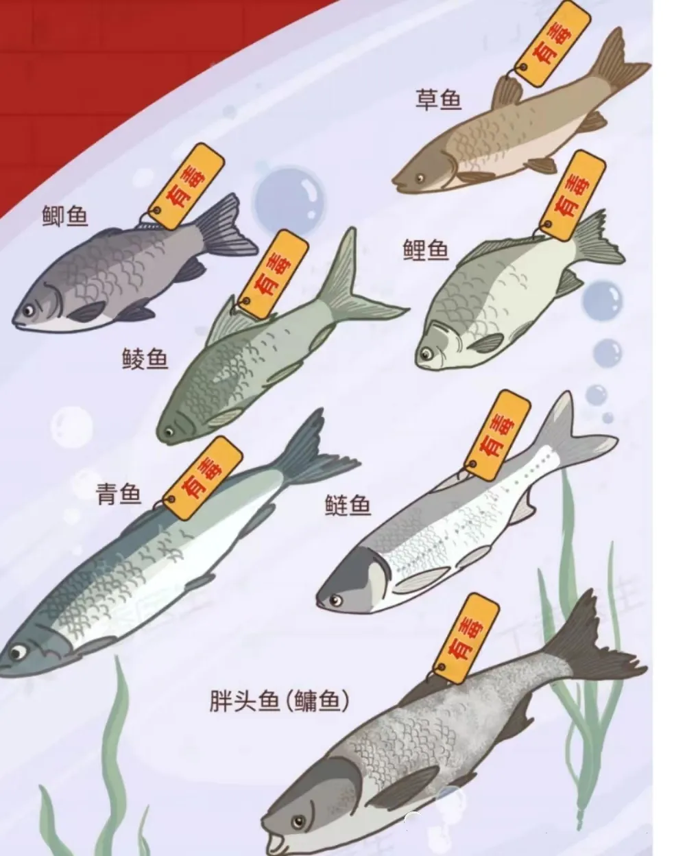 美丽云南微科普