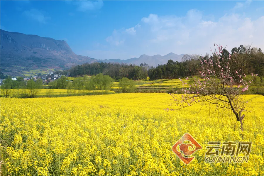 FM105城市生活广播