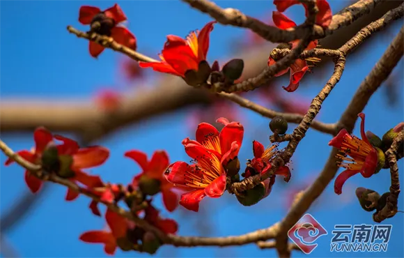 FM105城市生活广播