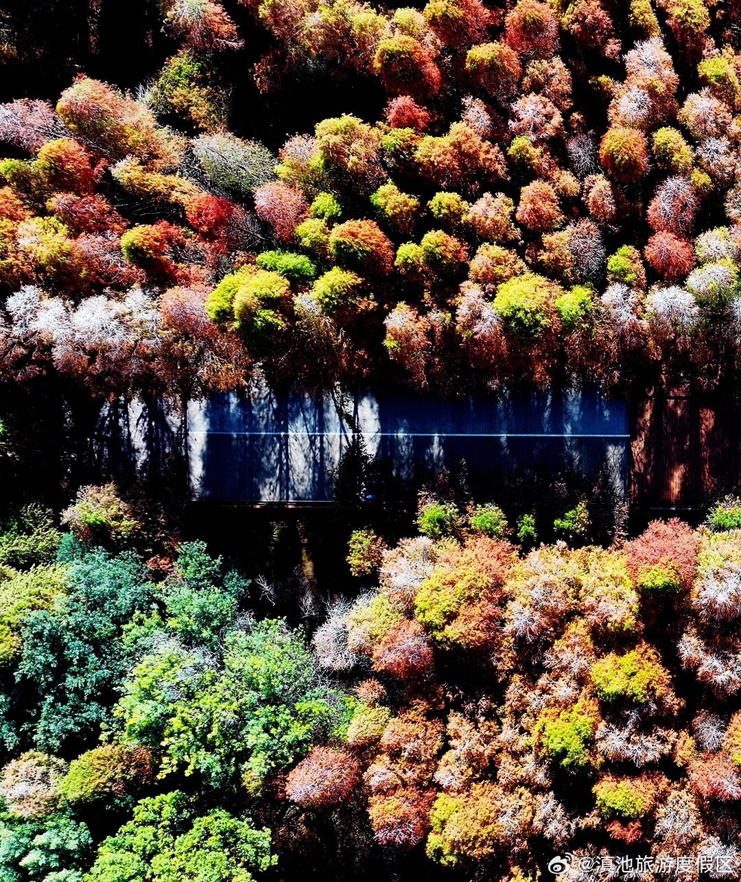 DeepSeek太火了！看看它做的滇池绿道攻略