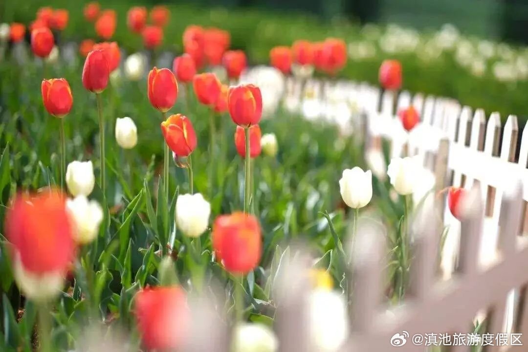 滇池旅游度假区