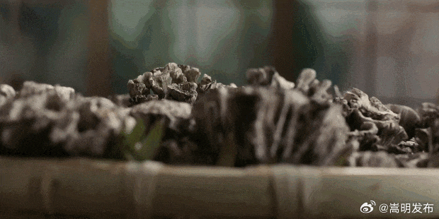 央视8分多钟！昆明野生菌亮相