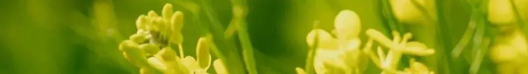 昆明公共文化云