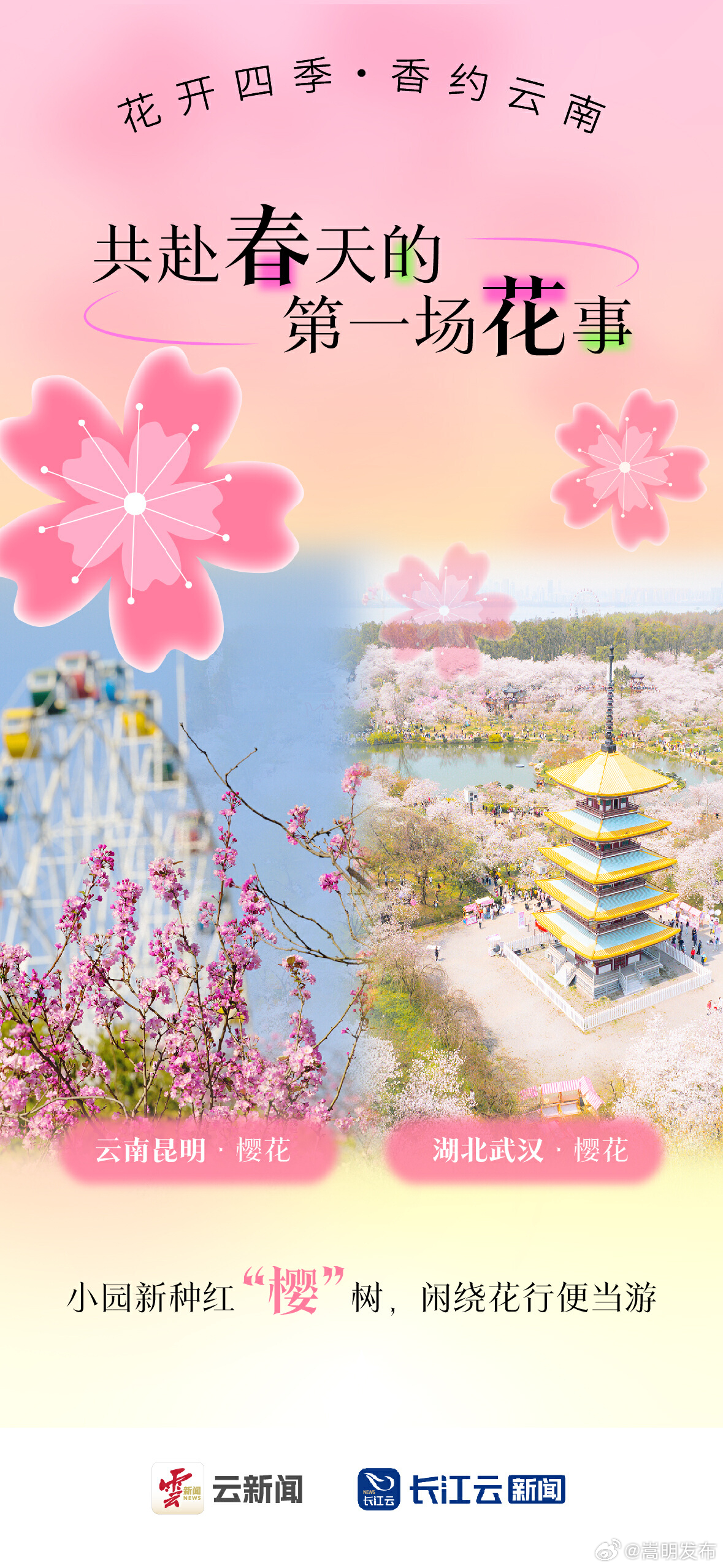 花开四季 “香”约云南丨共赴春天的第一场花事