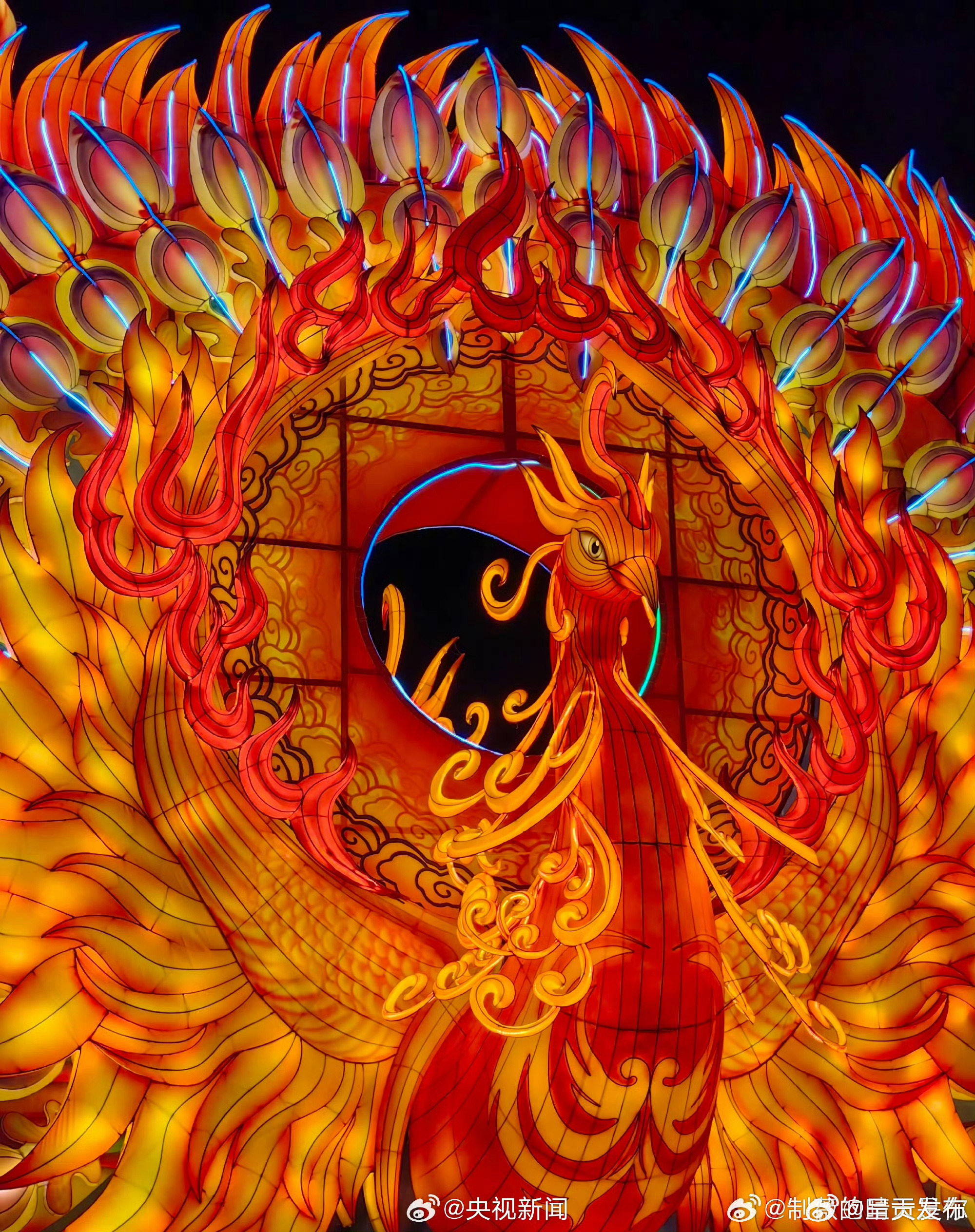 呈贡发布