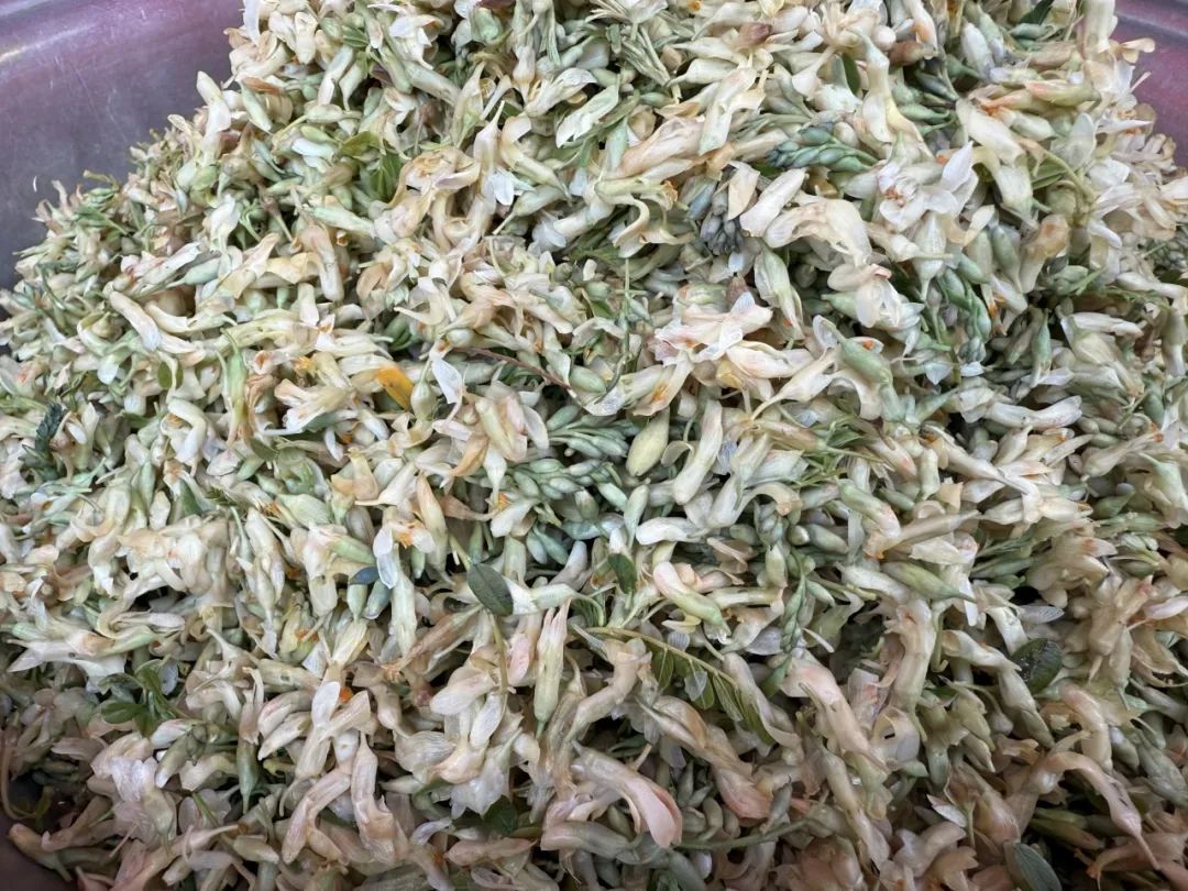 晋宁 诗意的栖居地