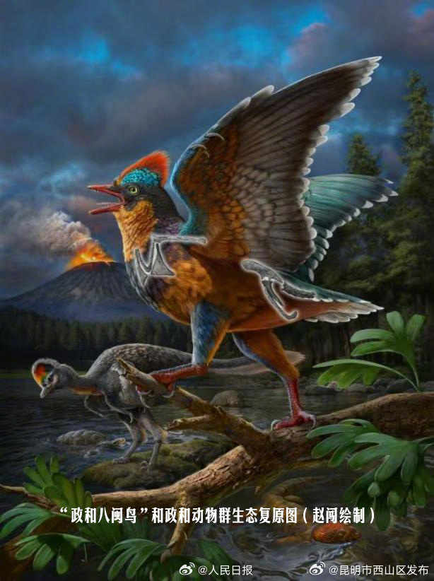 中国发现最早鸟类改写鸟类演化历史