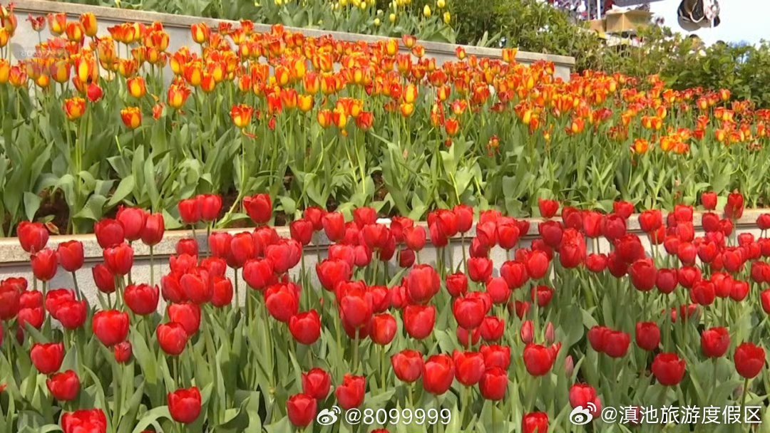 滇池旅游度假区