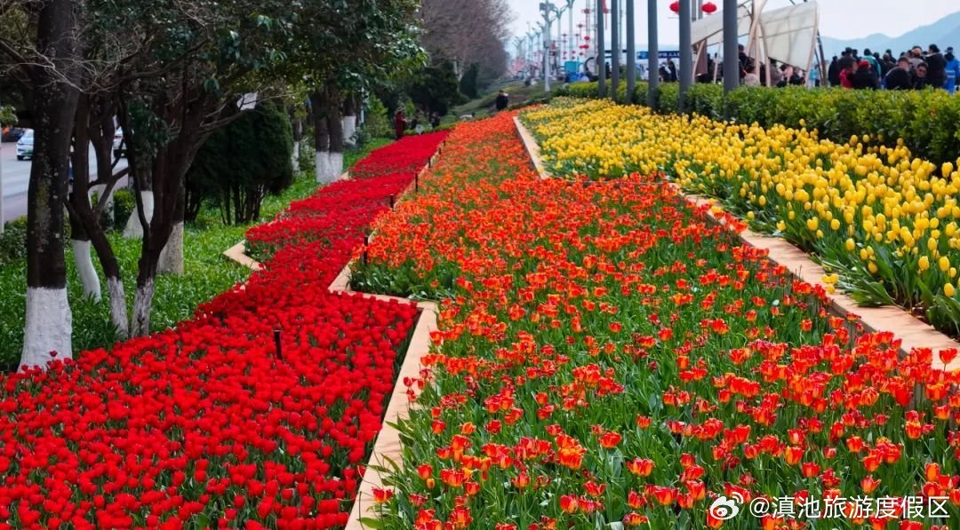 滇池旅游度假区