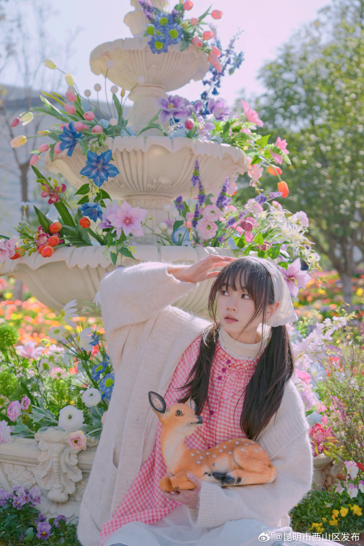 昆明市西山区发布