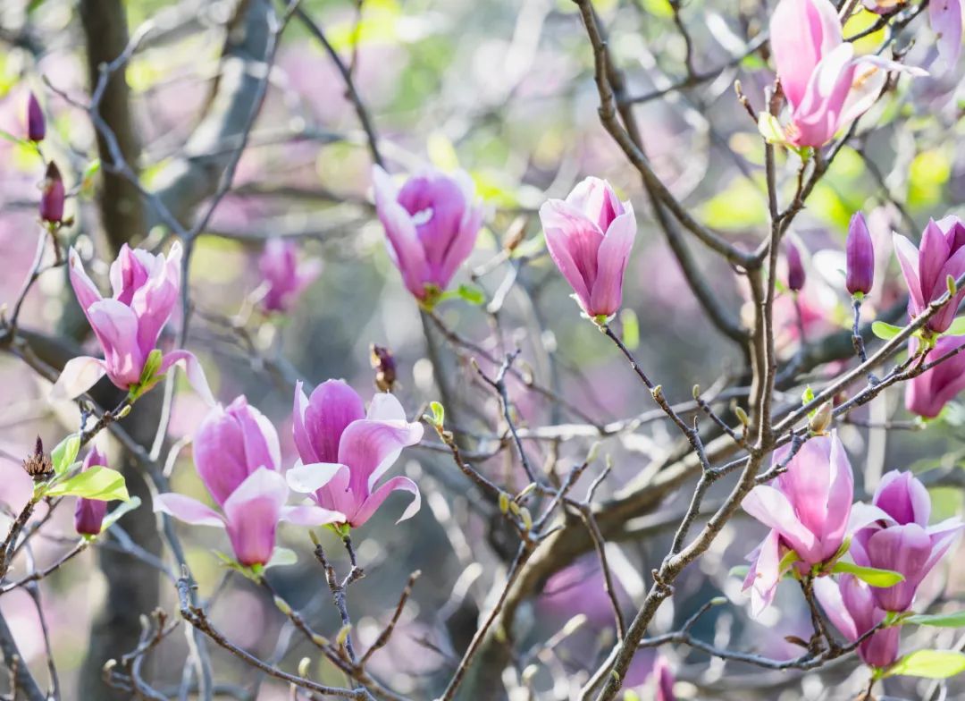 晋宁 诗意的栖居地