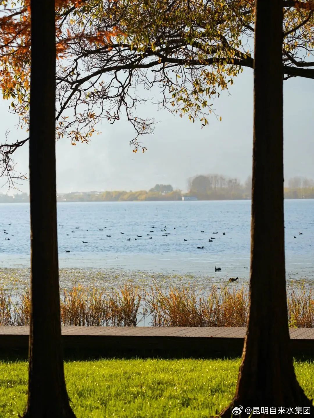 昆明自来水公司