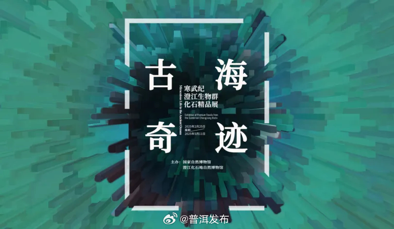 特大喜讯：澄江化石地世界自然遗产古生物化石在国家自然博物馆展出