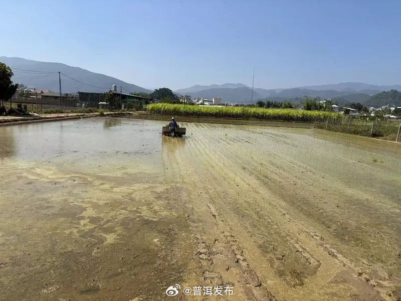 普洱奋力冲刺“开门红”：忙春耕、忙招工、抓项目、赶生产