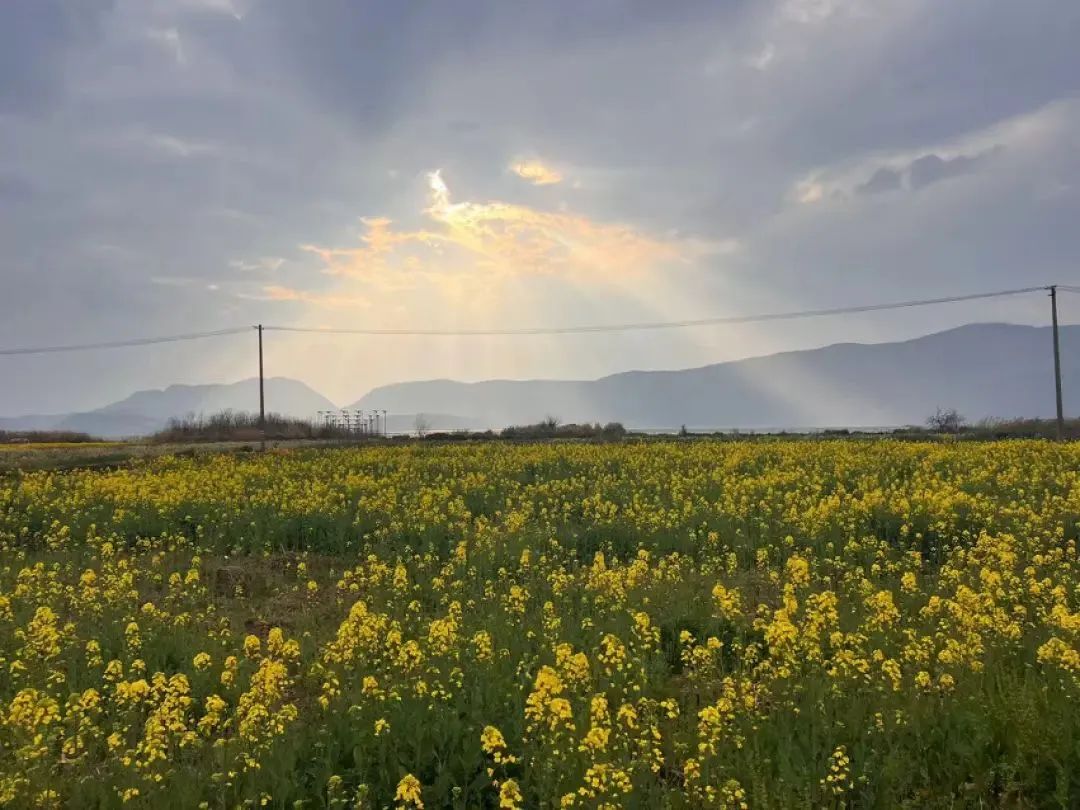 昆明公共文化云