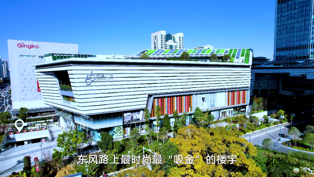 微观盘龙