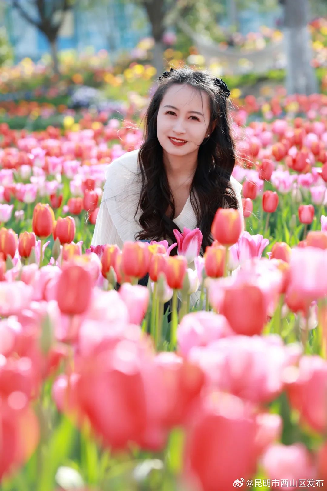 昆明市西山区发布