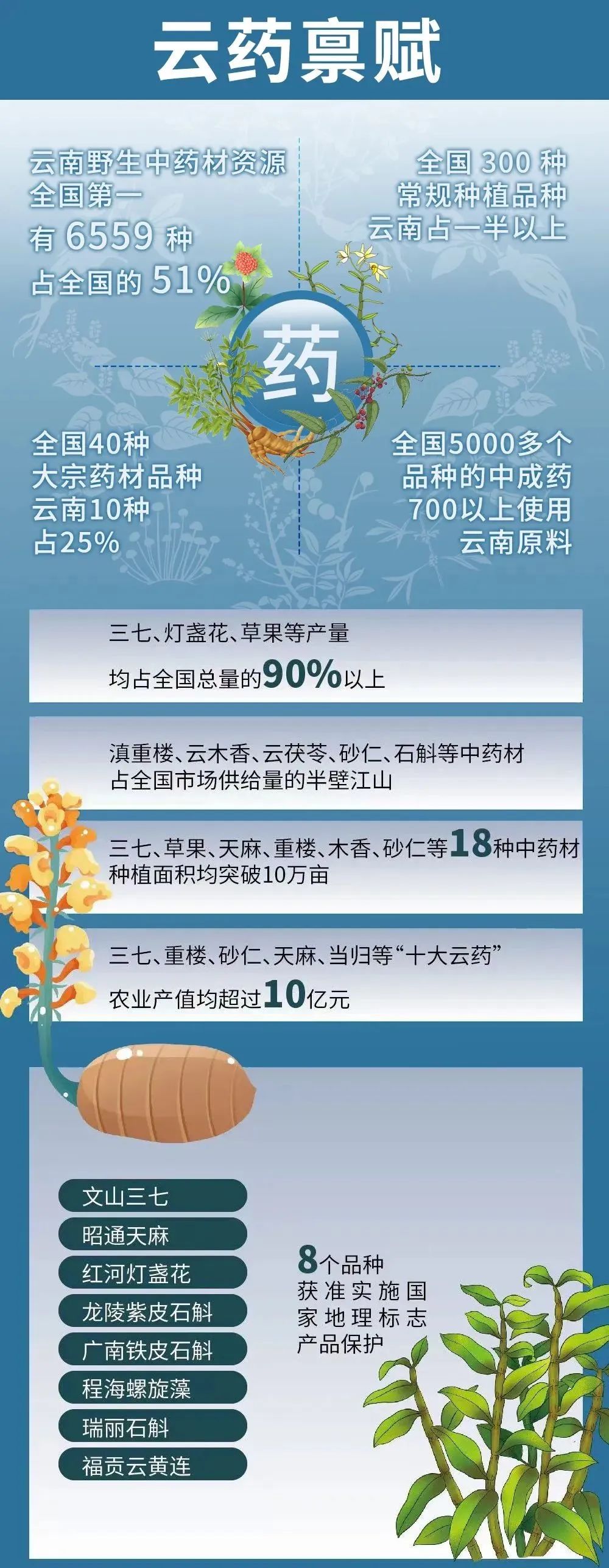 健康昆明