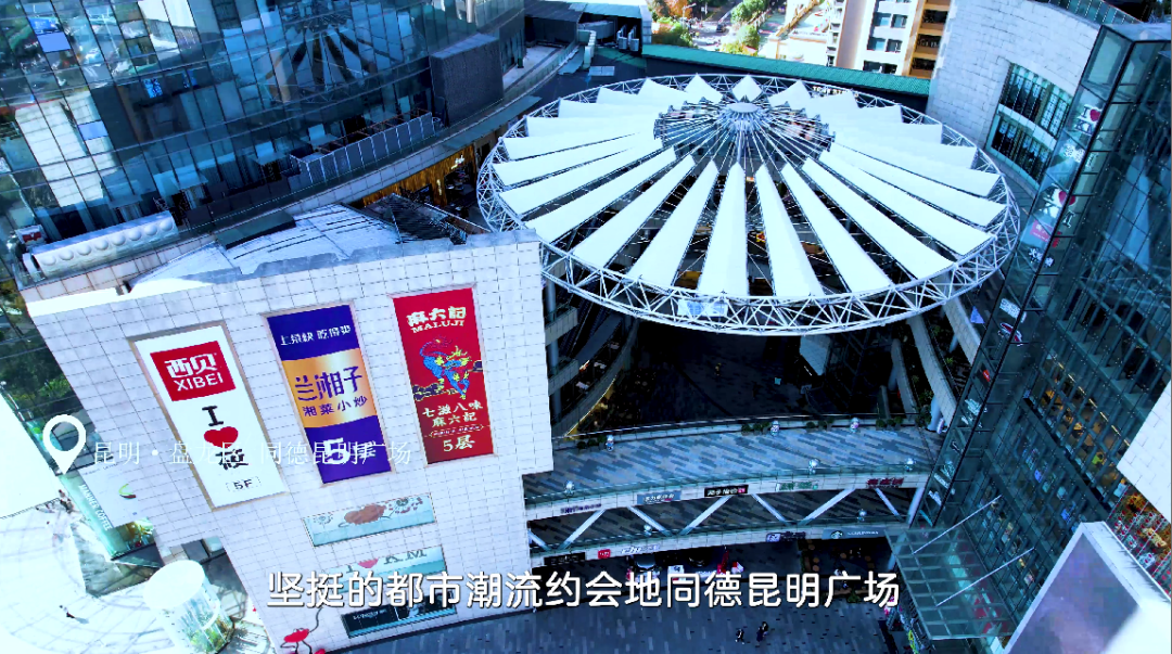微观盘龙