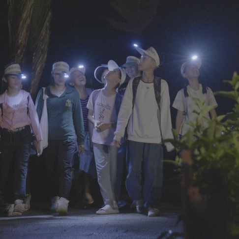 西双版纳望天树景区