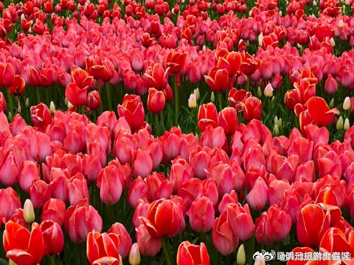 滇池旅游度假区