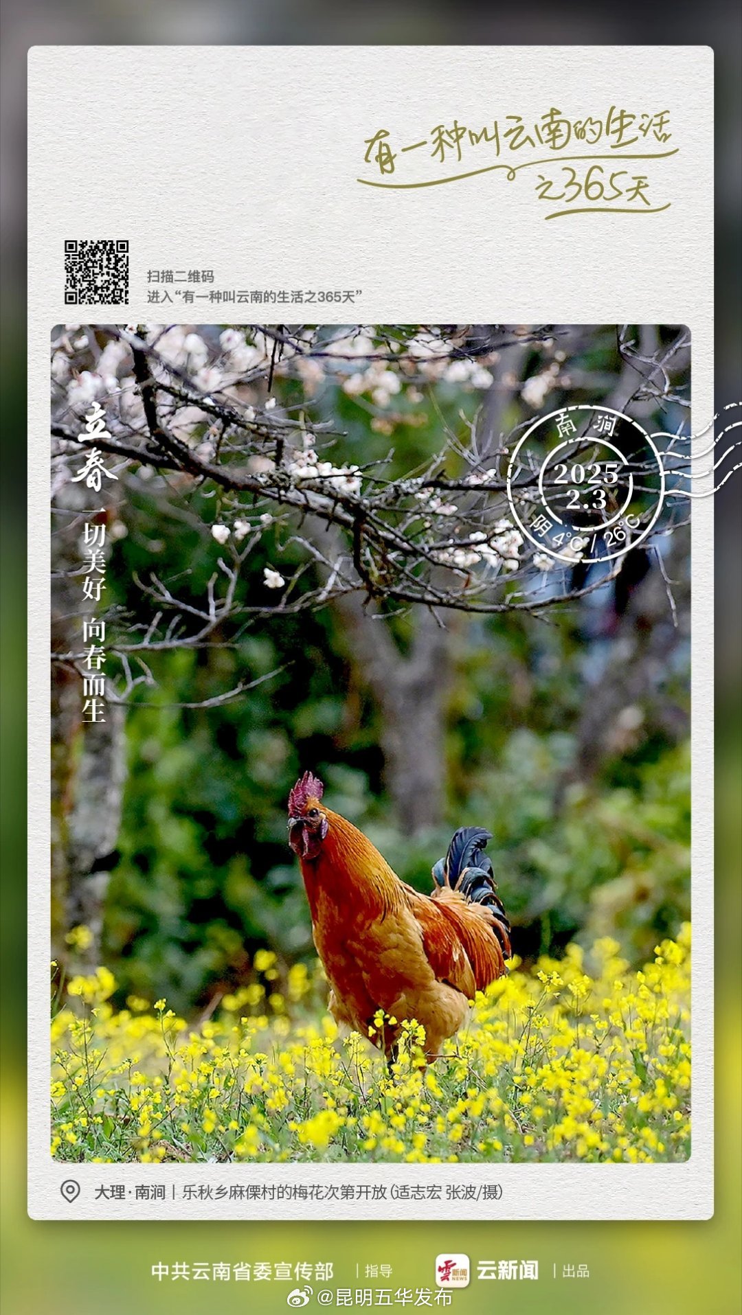 昆明五华发布